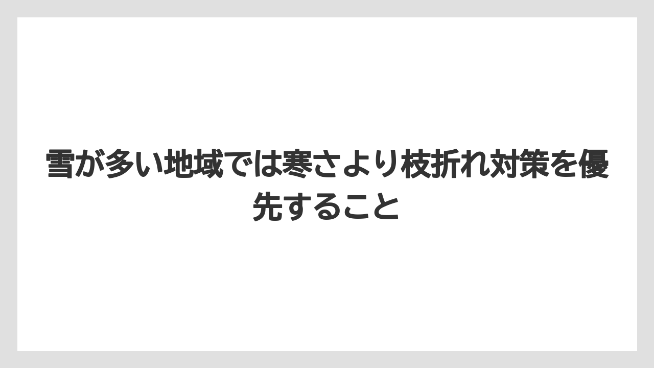 【栽培】【農園】【農業】雪が多い地域では寒さより枝折れ対策を優先すること