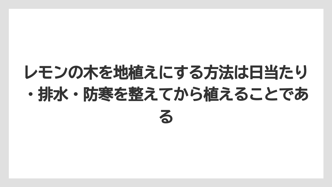 【レモン】【栽培】【農業】レモンの木を地植えにする方法は日当たり・排水・防寒を整えてから植えることである