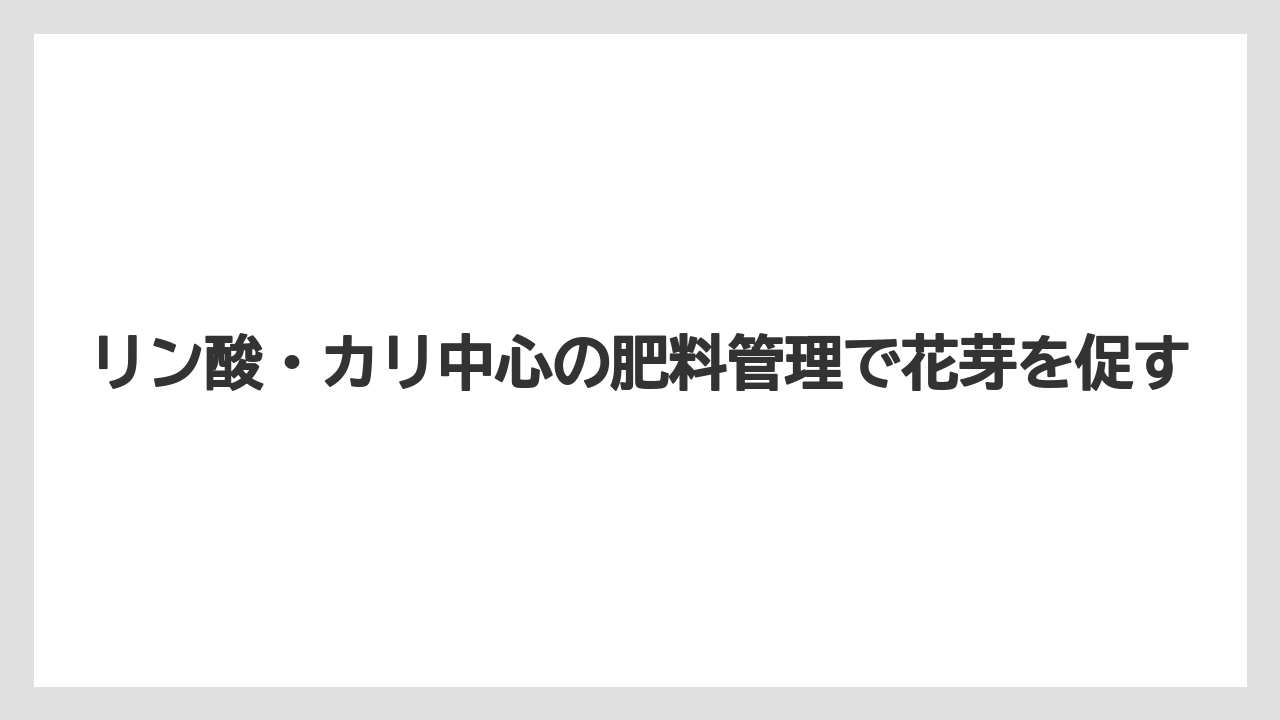 【栽培】【花】【葉】リン酸・カリ中心の肥料管理で花芽を促す