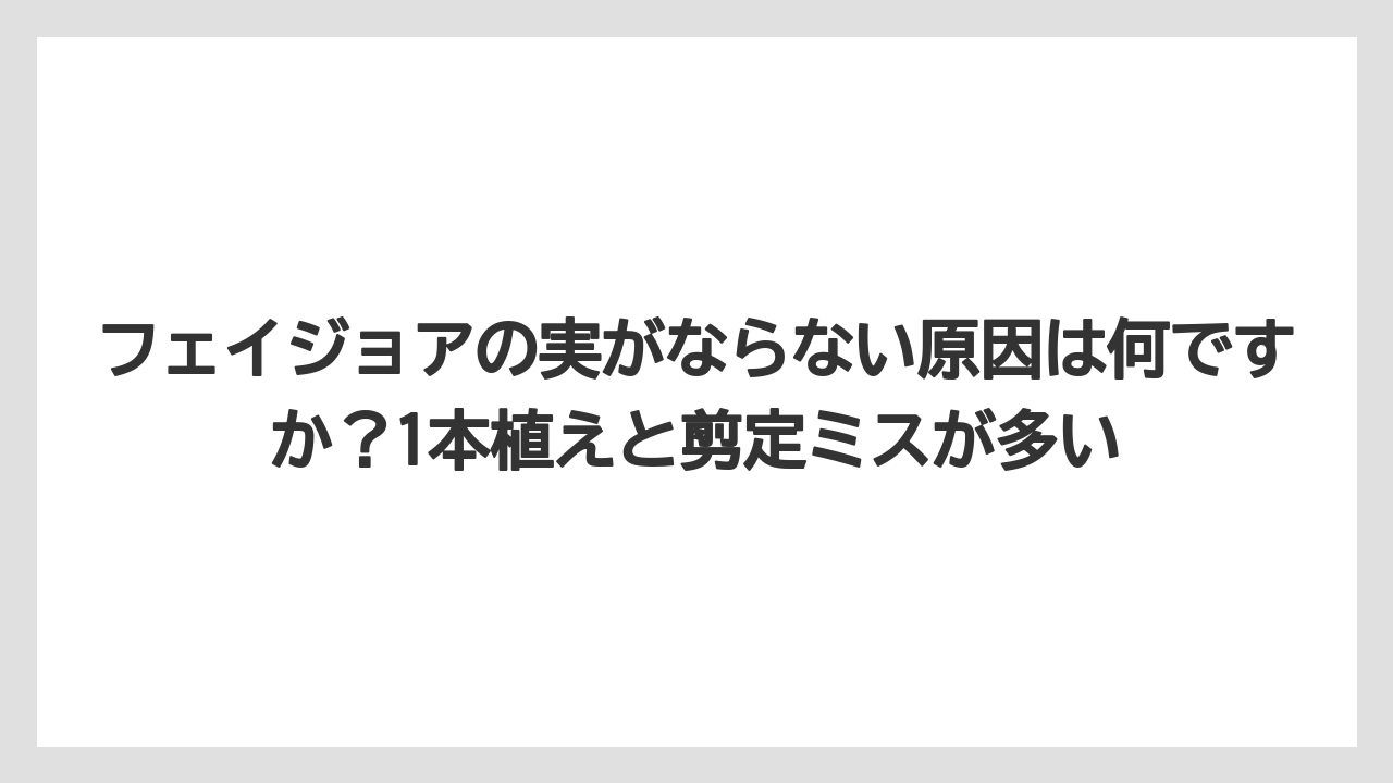 【栽培】【農園】【農業】フェイジョアの実がならない原因は何ですか?1本植えと剪定ミスが多い