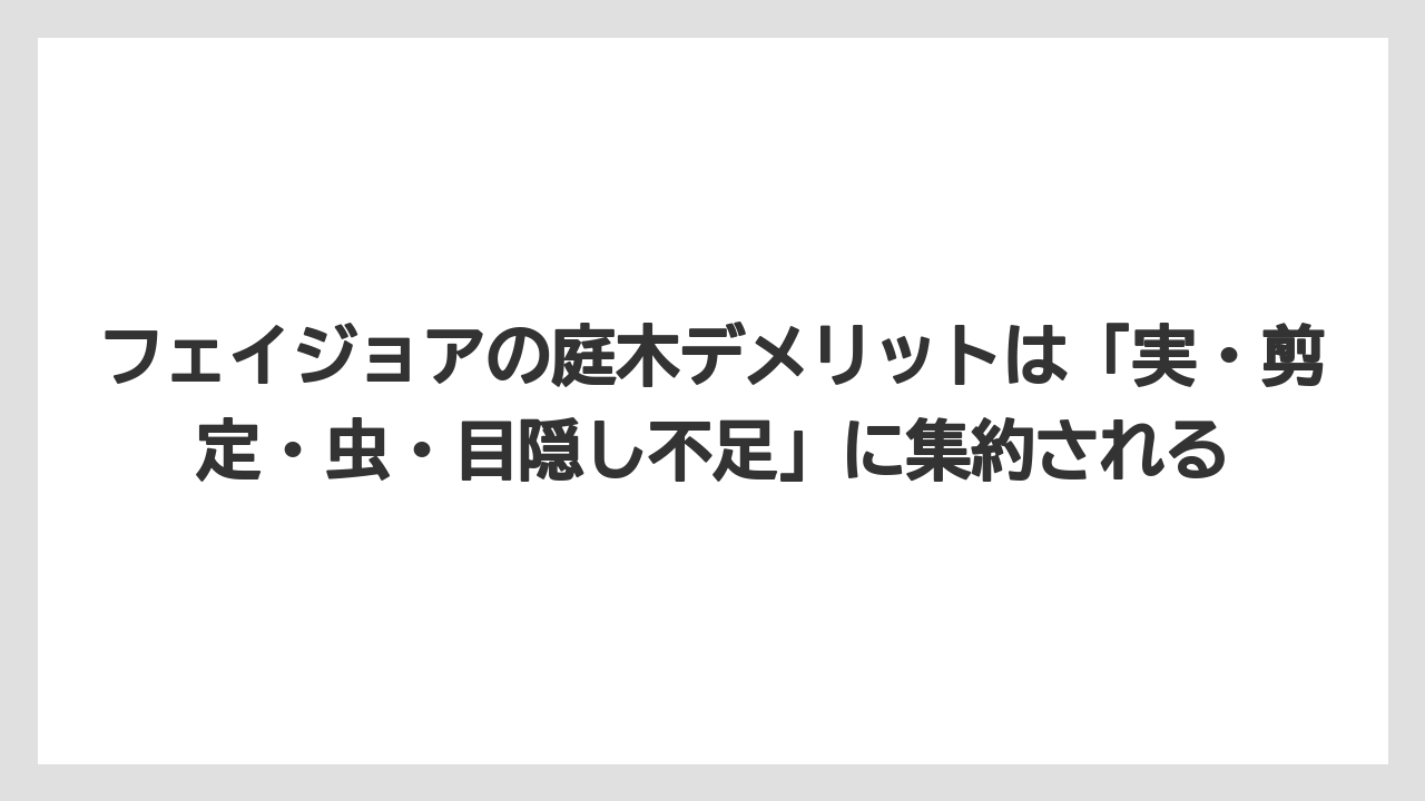【栽培】【農園】【農業】フェイジョアの庭木デメリットは「実・剪定・虫・目隠し不足」に集約される