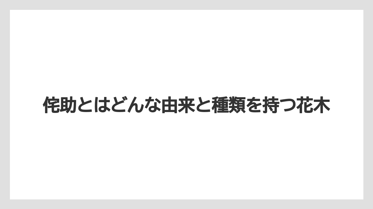 【栽培】【農園】【農業】侘助の開花時期は冬から春にかけてが中心