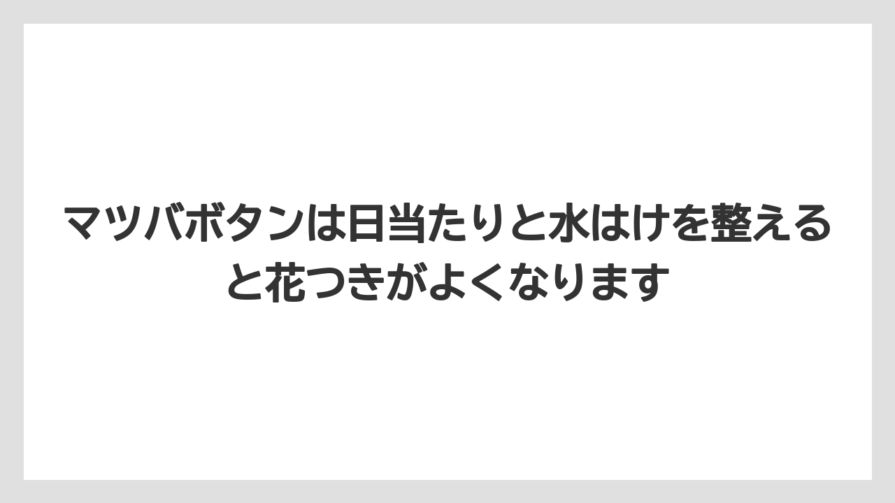 【栽培】【農園】【農業】マツバボタンは日当たりと水はけを整えると花つきがよくなります