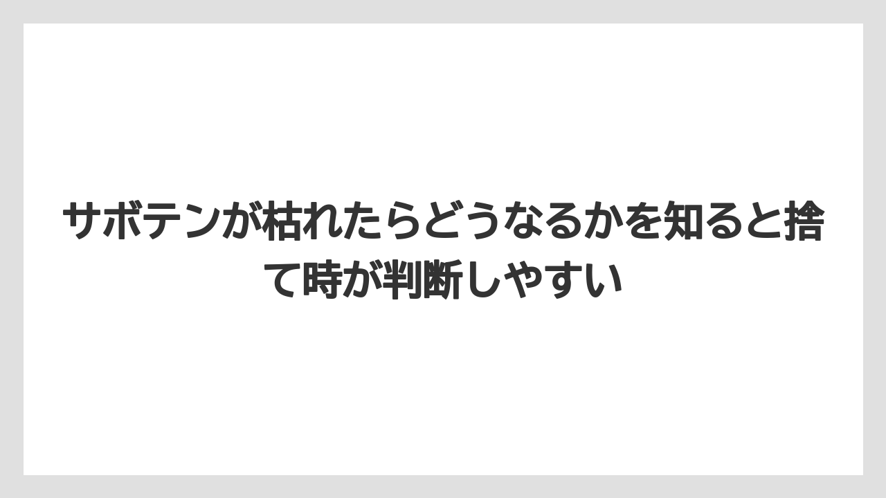 【サボテン】【枯れ】【栽培】サボテンが枯れたらどうなるかを知ると捨て時が判断しやすい