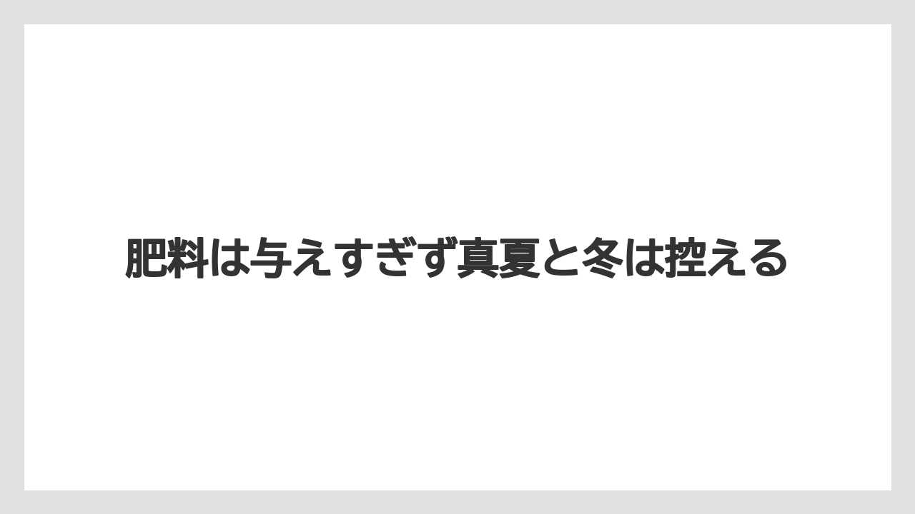 【栽培】【育て方】【越し】肥料は与えすぎず真夏と冬は控える