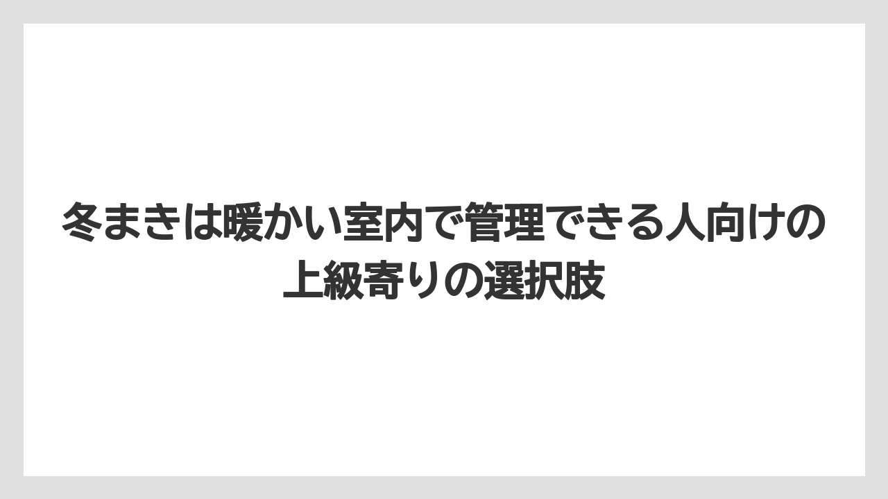【栽培】【草】【越し】冬まきは暖かい室内で管理できる人向けの上級寄りの選択肢