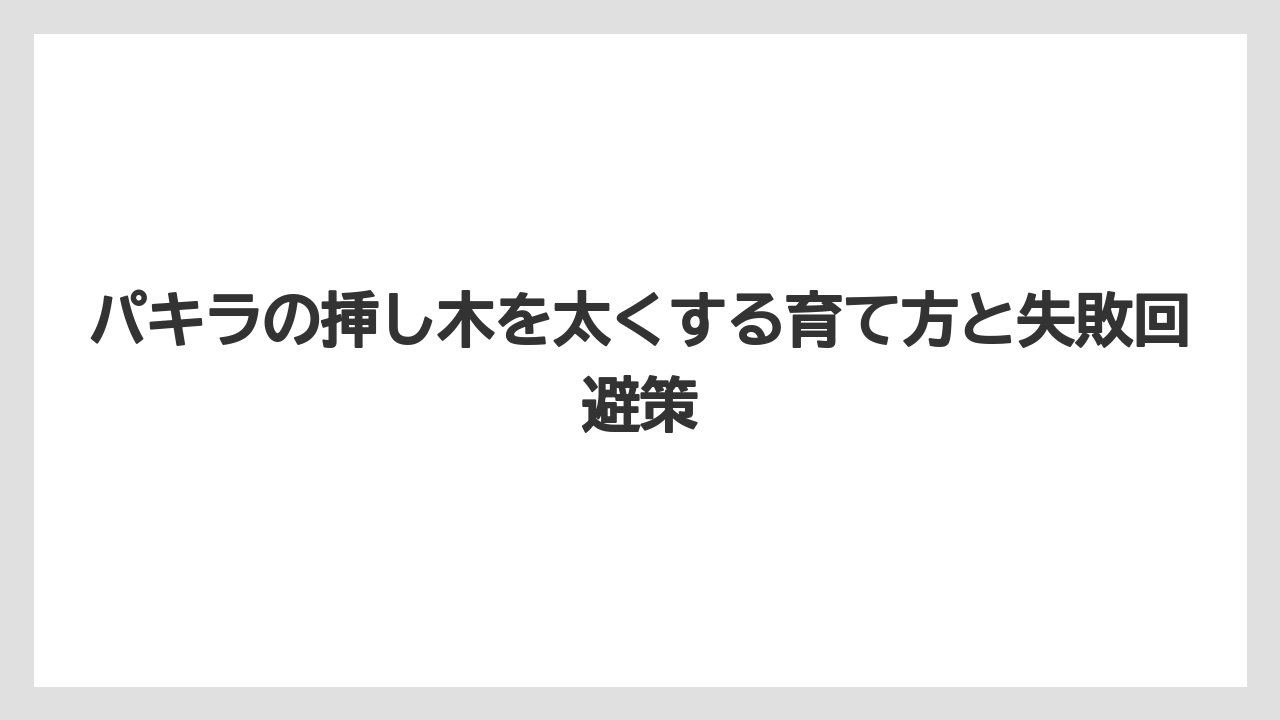【パキラ】【木】【栽培】【育て方】ハイドロカルチャーでは太く育てにくく土栽培が有利なこと