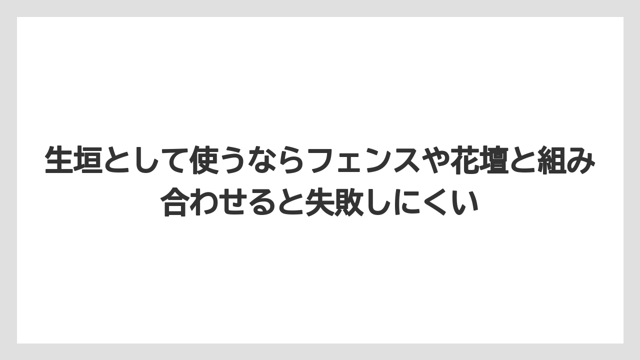 【レモン】【栽培】【農業】生垣として使うならフェンスや花壇と組み合わせると失敗しにくい