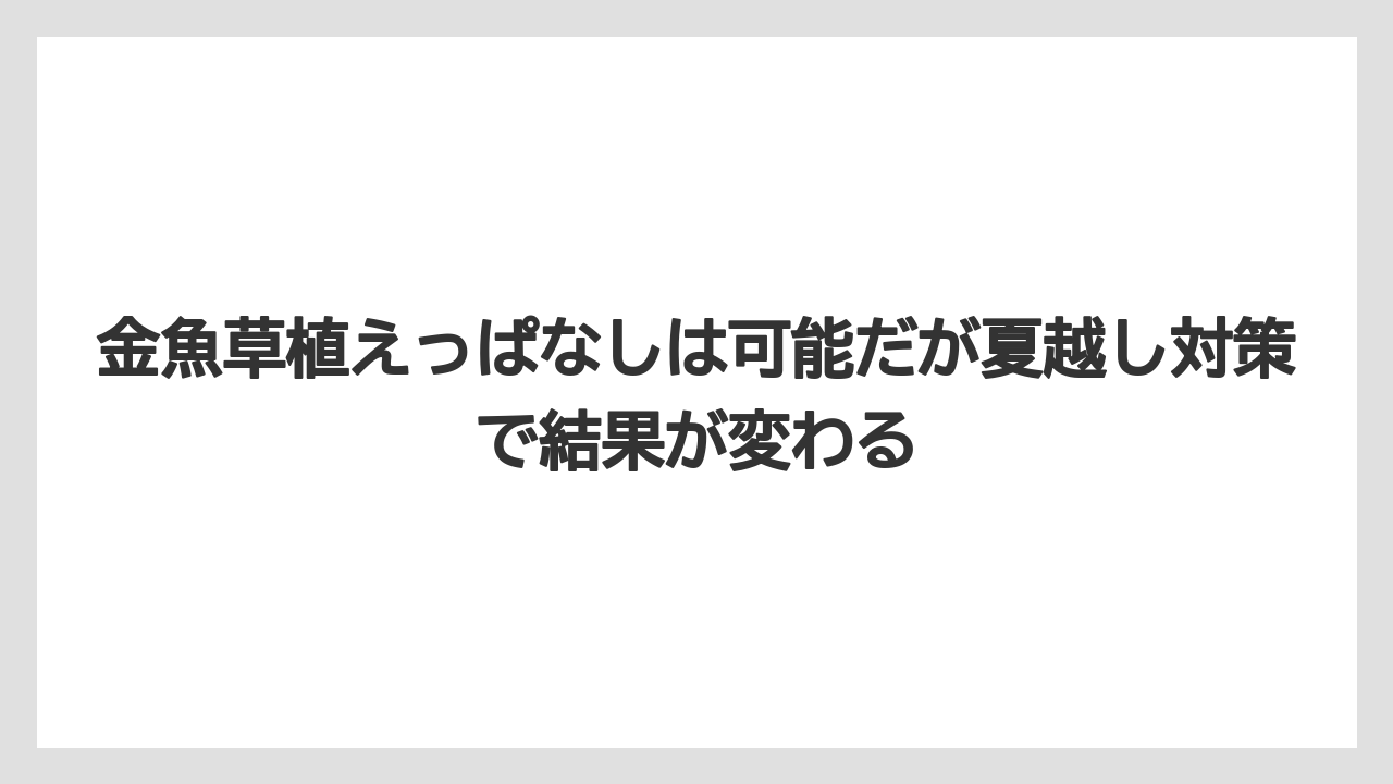 【栽培】【農園】【農業】金魚草植えっぱなしは可能だが夏越し対策で結果が変わる