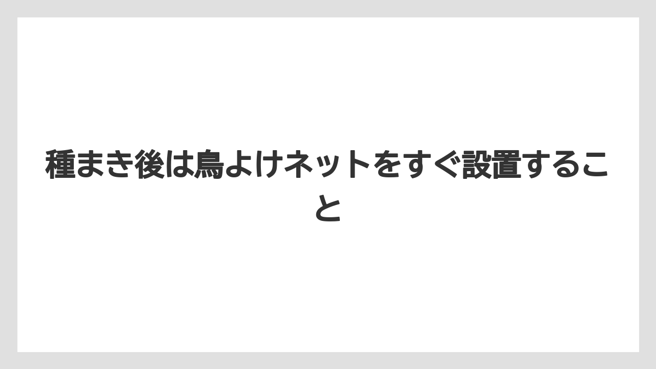 【栽培】【育て方】【花】【農業】種まき後は鳥よけネットをすぐ設置すること