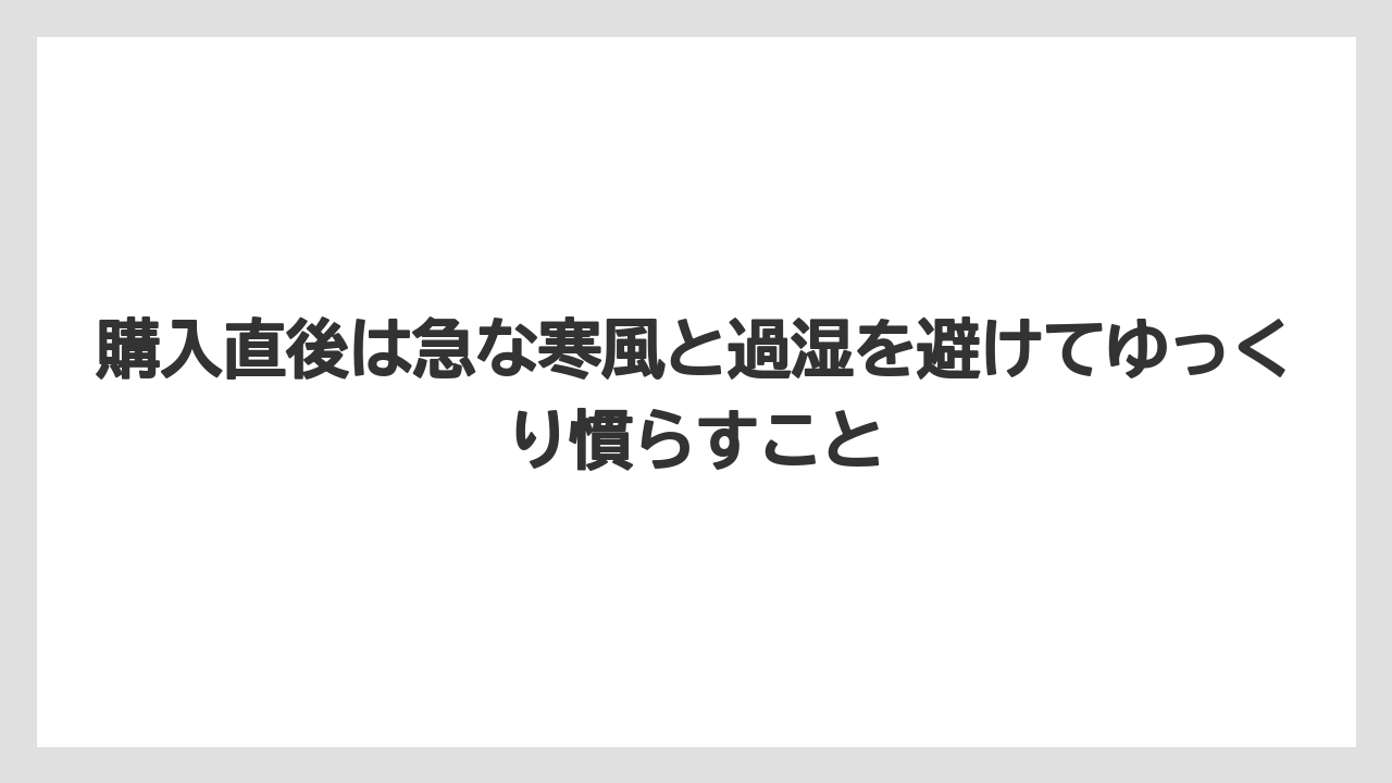 【栽培】【農園】【農業】購入直後は急な寒風と過湿を避けてゆっくり慣らすこと