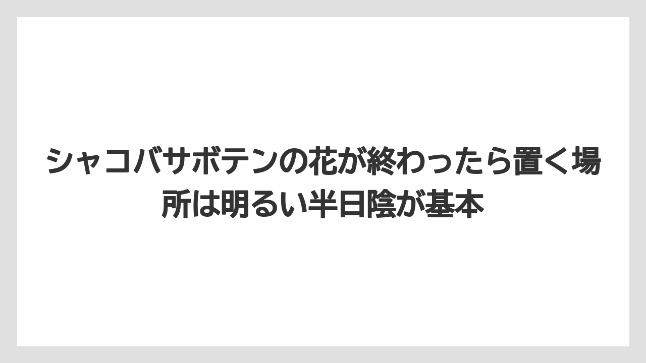 【サボテン】【栽培】【農業】シャコバサボテンの花が終わったら置く場所は明るい半日陰が基本