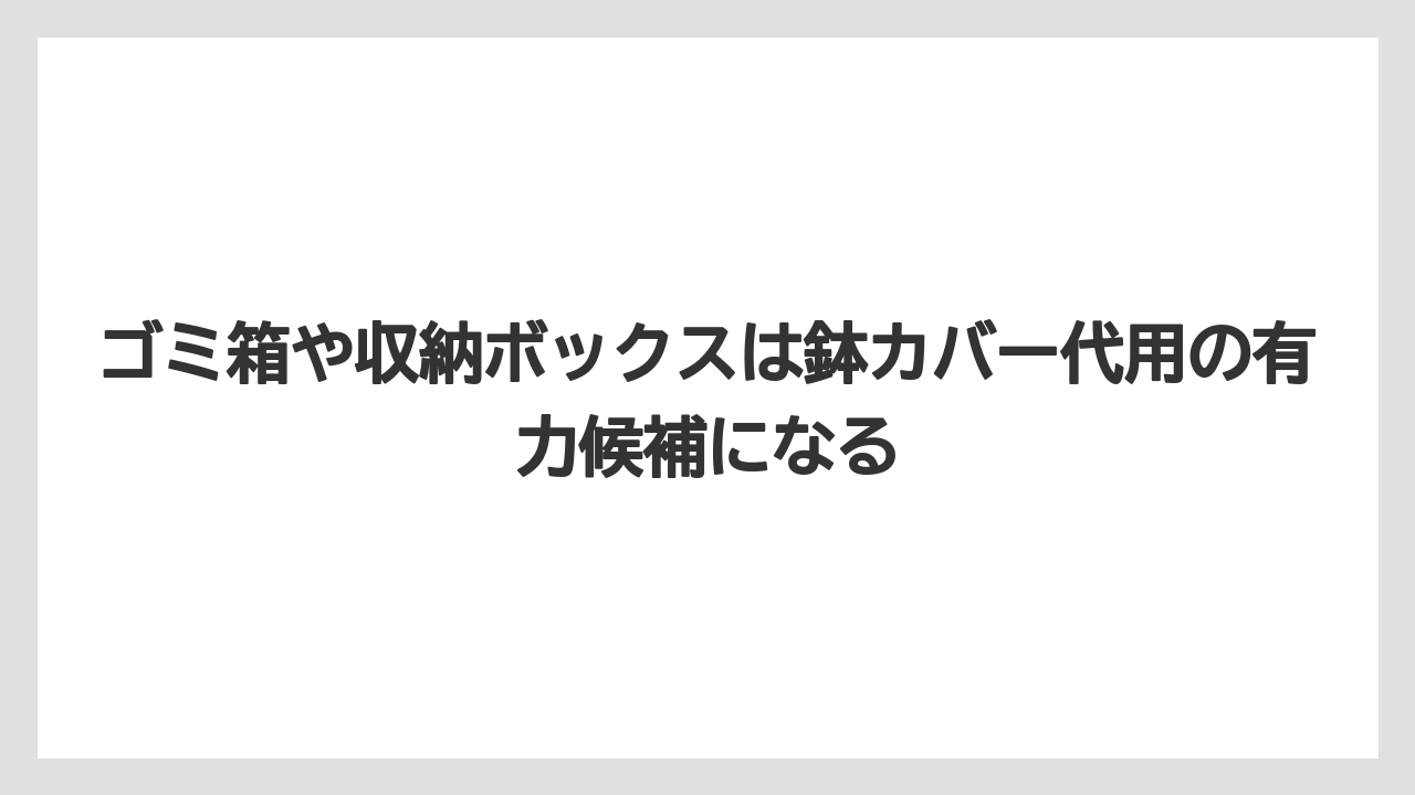 【100均】【サンスベリア】【パキラ】【モンステラ】【多肉植物】ゴミ箱や収納ボックスは鉢カバー代用の有力候補になる