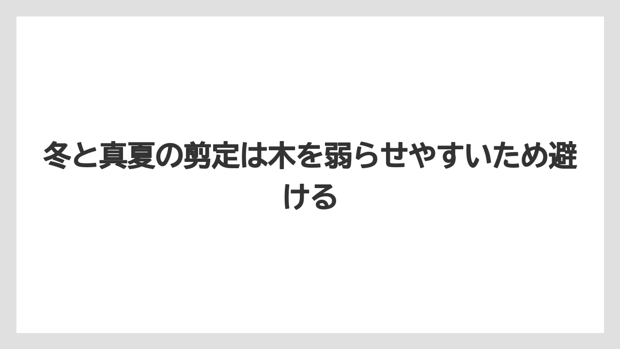 【剪定】【栽培】【農業】冬と真夏の剪定は木を弱らせやすいため避ける