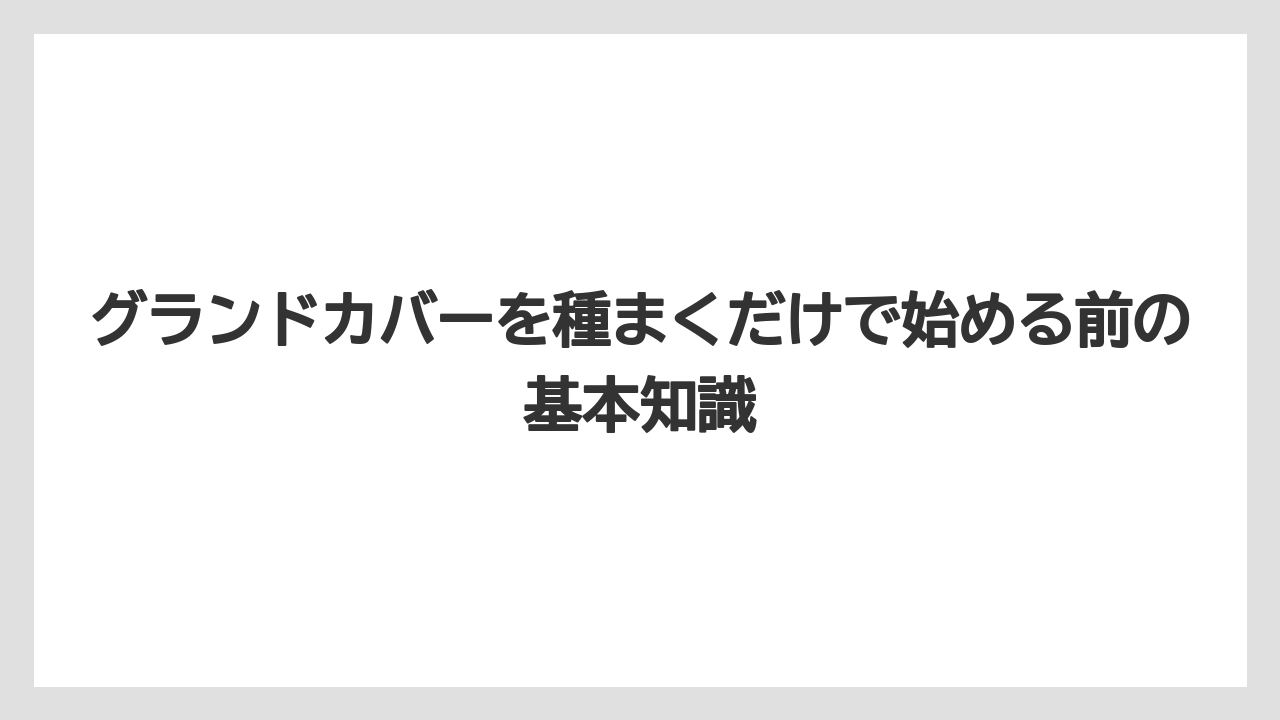 グランドカバーを種まくだけで始める前の基本知識