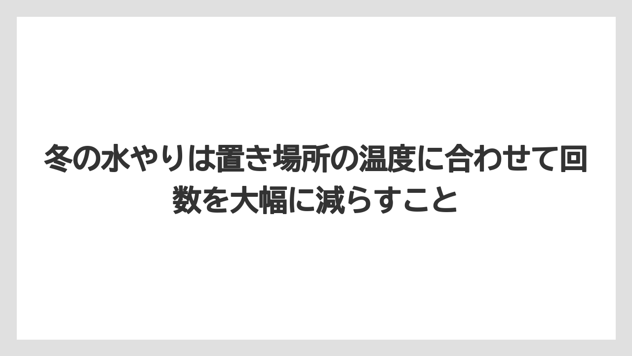 【栽培】【農園】【農業】冬の水やりは置き場所の温度に合わせて回数を大幅に減らすこと