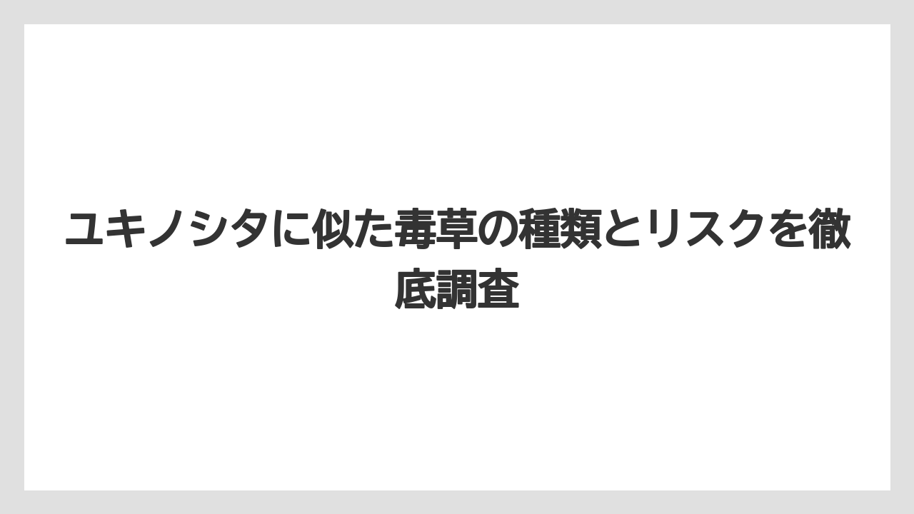 ユキノシタに似た毒草の種類とリスクを徹底調査