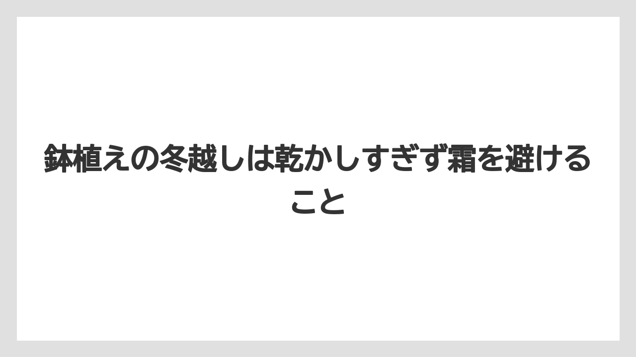 【ミント】【栽培】【農業】鉢植えの冬越しは乾かしすぎず霜を避けること