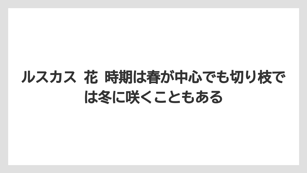 【ルスカス】【栽培】【花】【葉】ルスカス 花 時期は春が中心でも切り枝では冬に咲くこともある