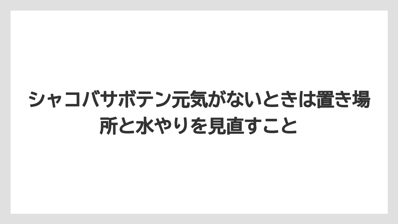 【サボテン】【栽培】【農業】シャコバサボテン元気がないときは置き場所と水やりを見直すこと