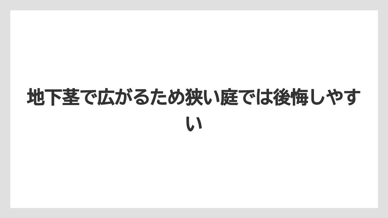 【栽培】【農園】【農業】地下茎で広がるため狭い庭では後悔しやすい