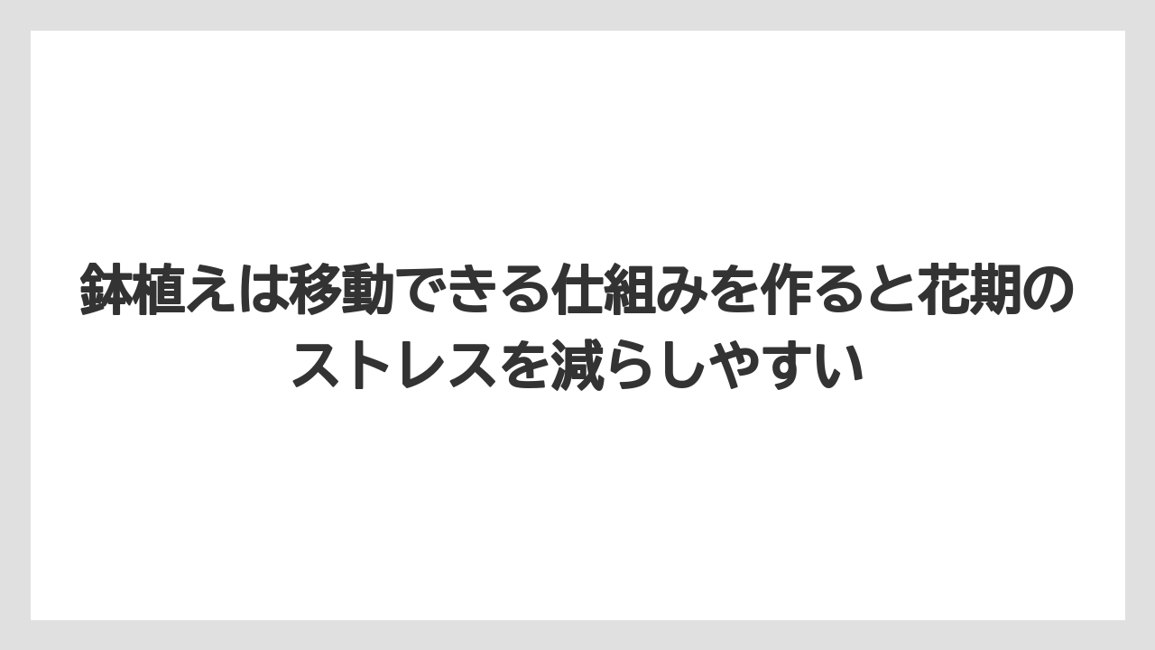 【栽培】【農園】【農業】鉢植えは移動できる仕組みを作ると花期のストレスを減らしやすい