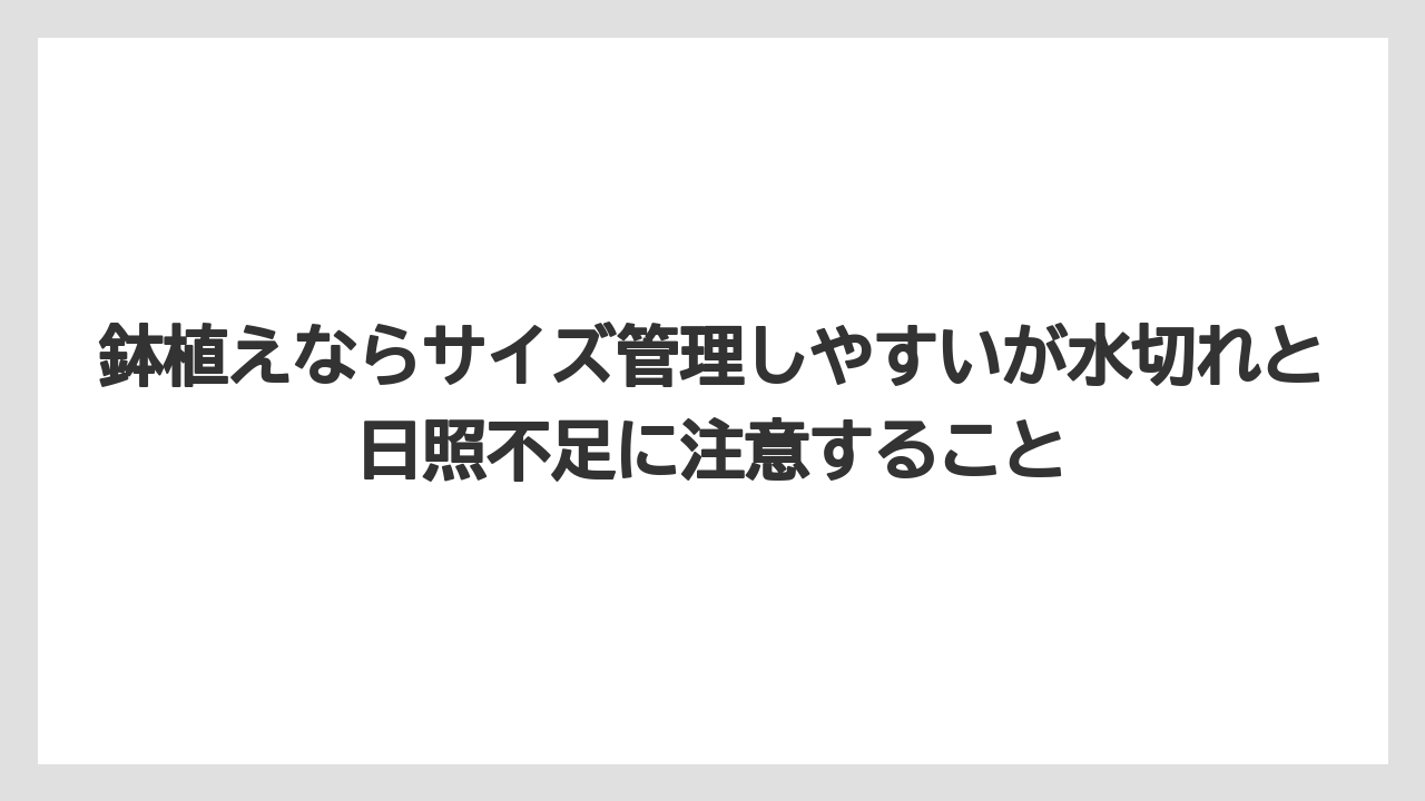 【レモン】【栽培】【農業】鉢植えならサイズ管理しやすいが水切れと日照不足に注意すること