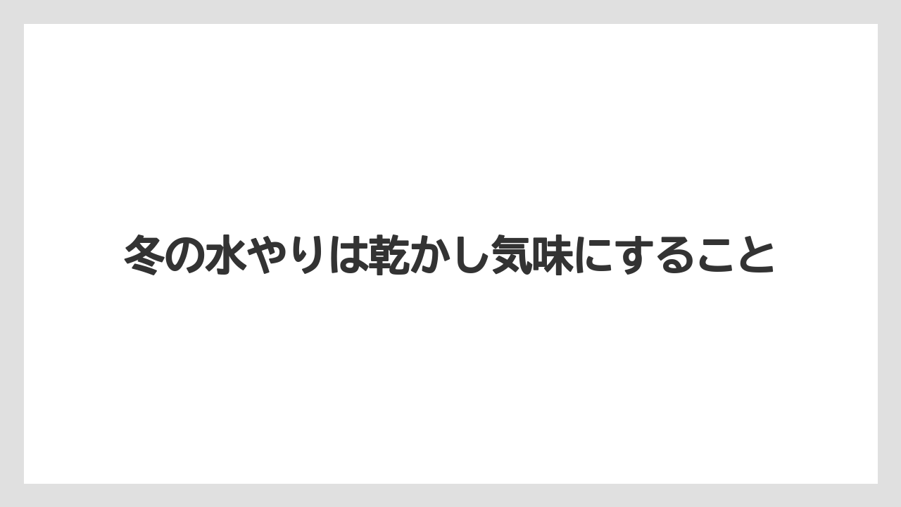 【栽培】【農園】【農業】冬の水やりは乾かし気味にすること