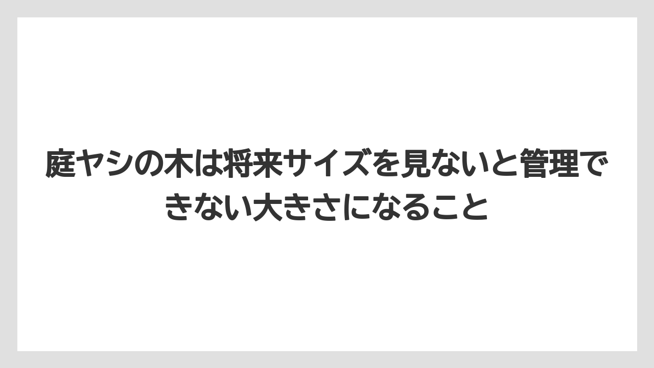 【庭】【後悔】【木】【栽培】【植え】庭ヤシの木は将来サイズを見ないと管理できない大きさになること