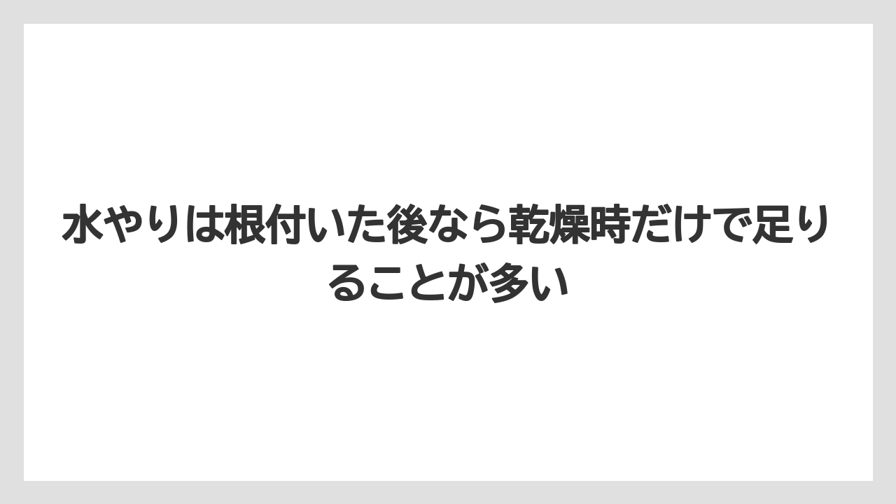 【ほったらかし】【栽培】【植え】水やりは根付いた後なら乾燥時だけで足りることが多い