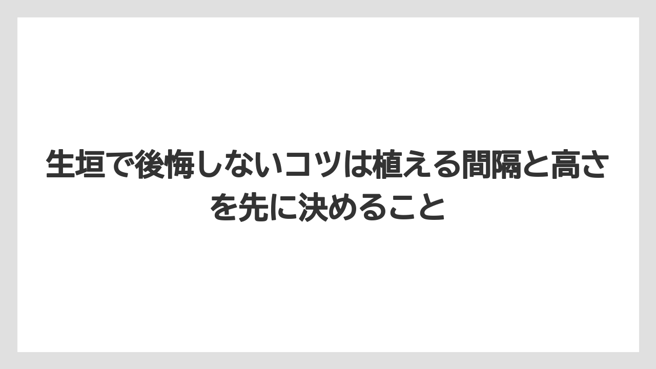 【栽培】【農園】【農業】生垣で後悔しないコツは植える間隔と高さを先に決めること