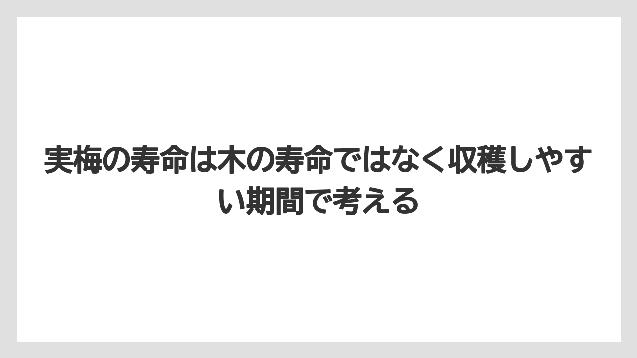 【栽培】【肥料】【農園】【農業】実梅の寿命は木の寿命ではなく収穫しやすい期間で考える