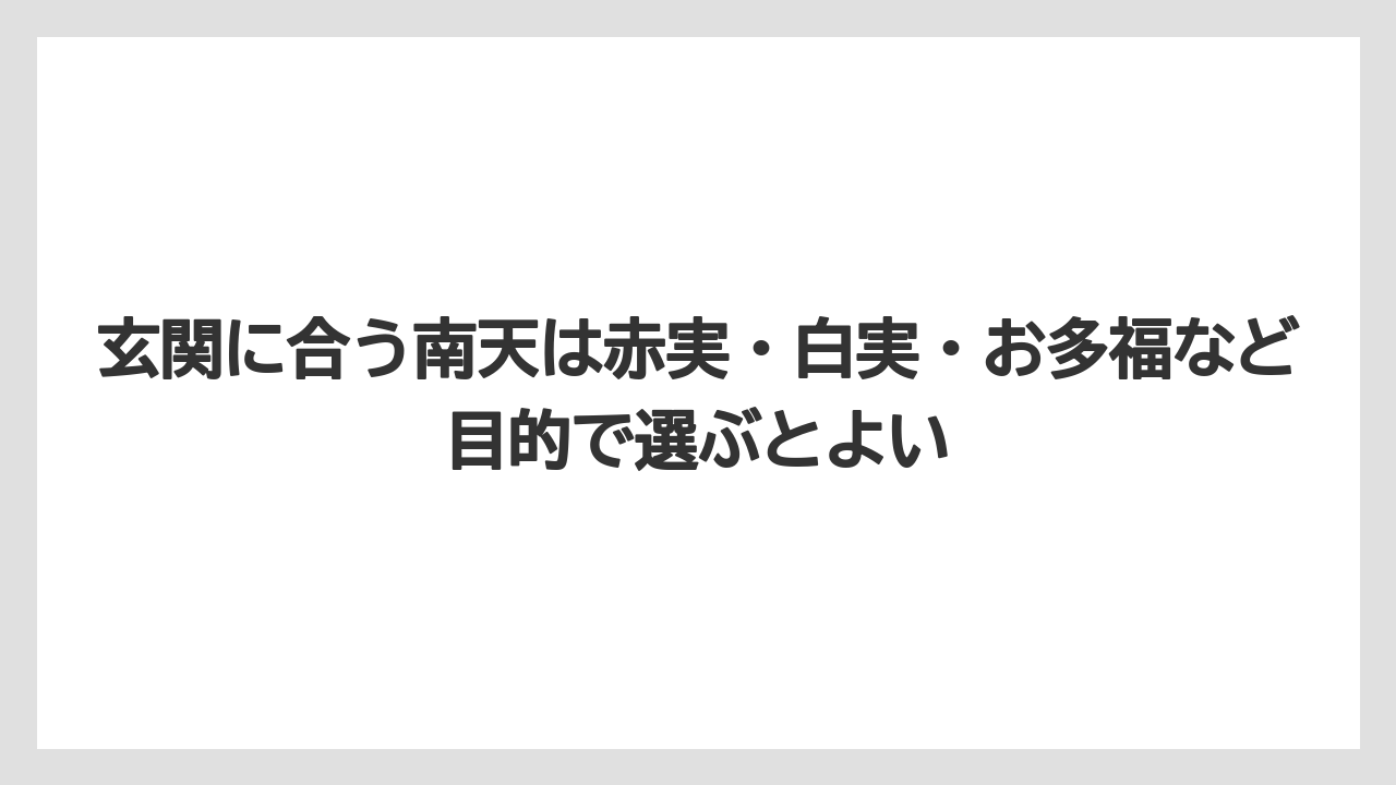 【栽培】【農園】【農業】玄関に合う南天は赤実・白実・お多福など目的で選ぶとよい