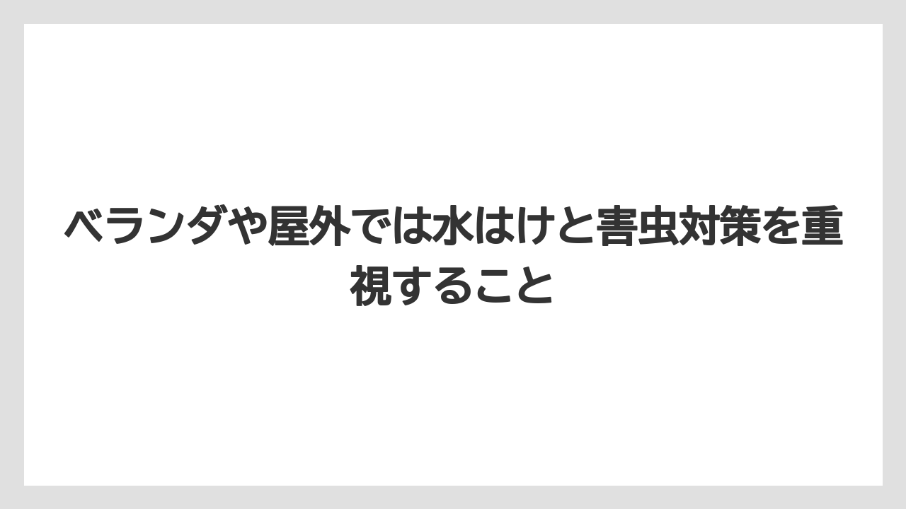 ベランダや屋外では水はけと害虫対策を重視すること