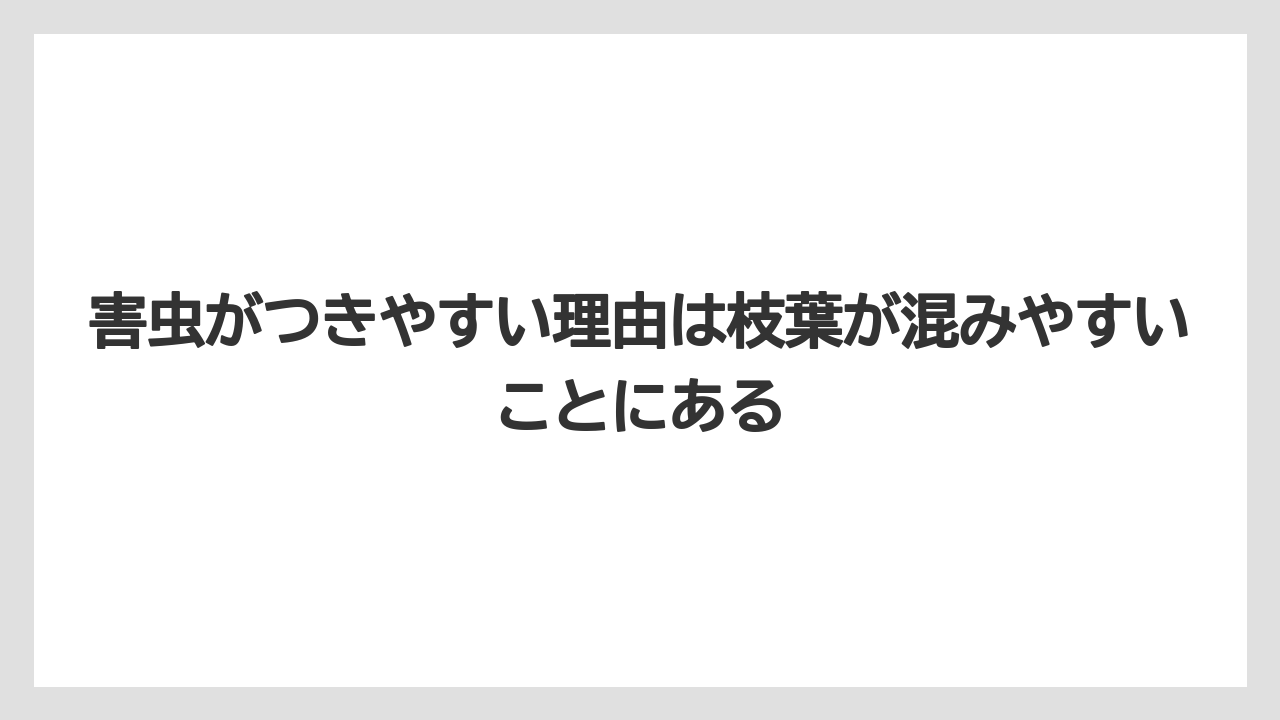 【いけない】【後悔】【栽培】【植え】害虫がつきやすい理由は枝葉が混みやすいことにある