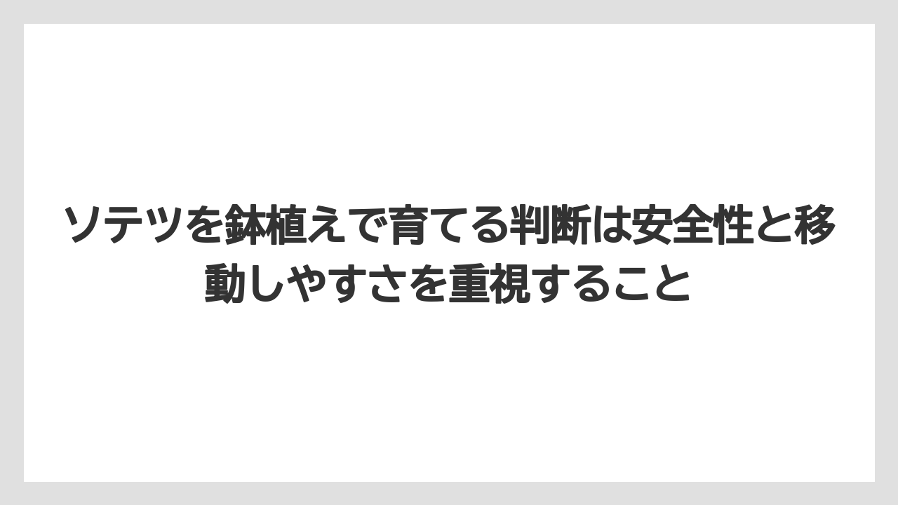 【アガベ】【バラ】【栽培】【猫】ソテツを鉢植えで育てる判断は安全性と移動しやすさを重視すること