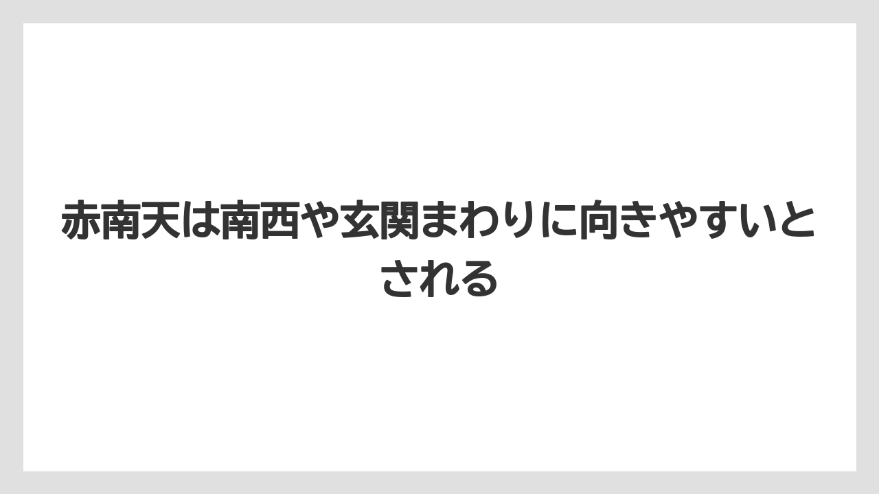【栽培】【農園】【農業】赤南天は南西や玄関まわりに向きやすいとされる