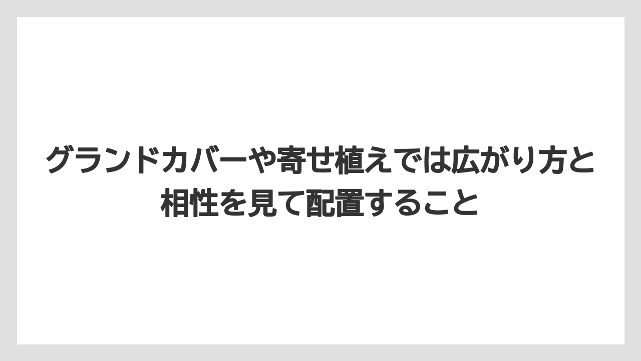 【バラ】【栽培】【肥料】グランドカバーや寄せ植えでは広がり方と相性を見て配置すること