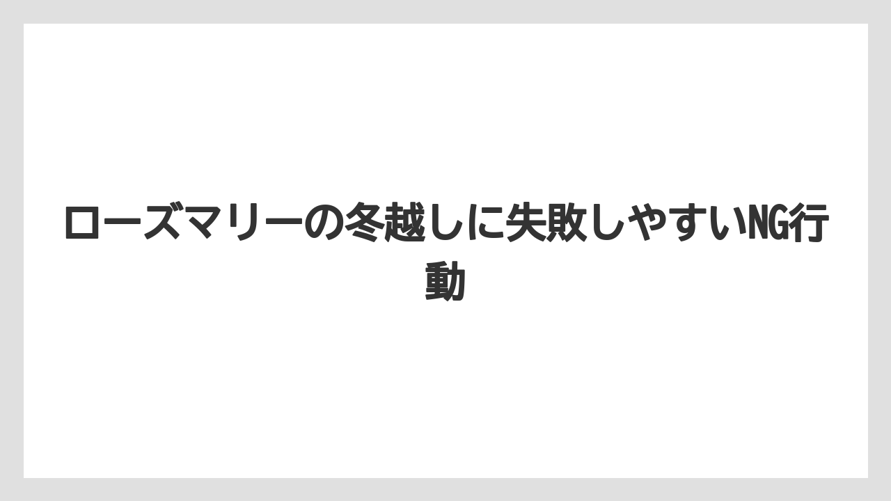 【栽培】【農園】【農業】ローズマリーの冬越しに失敗しやすいNG行動
