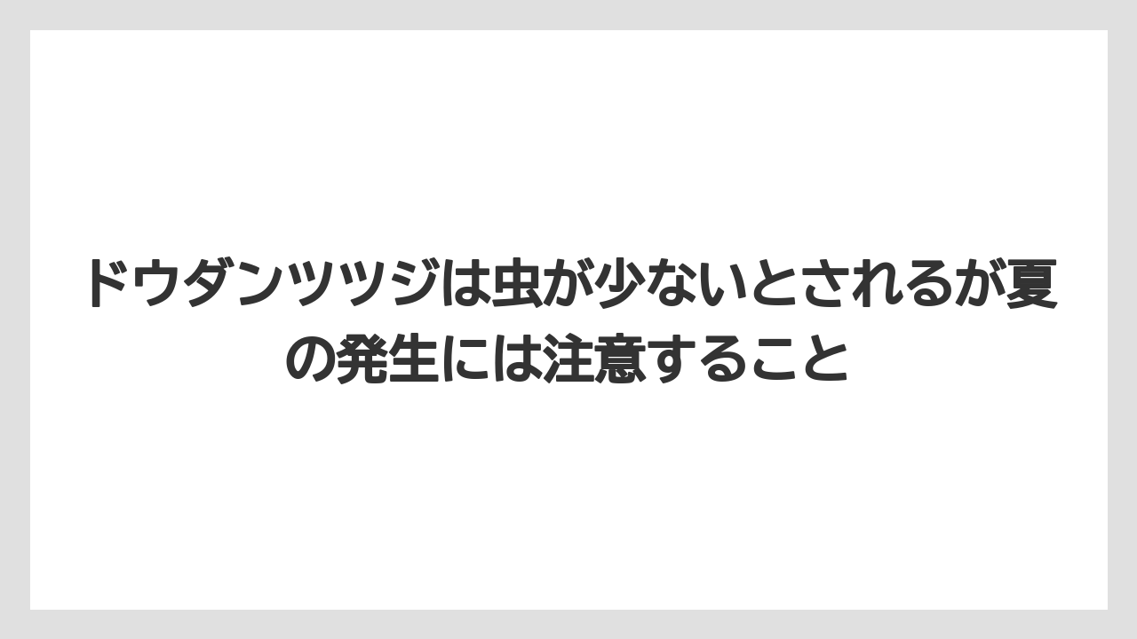【栽培】【農園】【農業】ドウダンツツジは虫が少ないとされるが夏の発生には注意すること