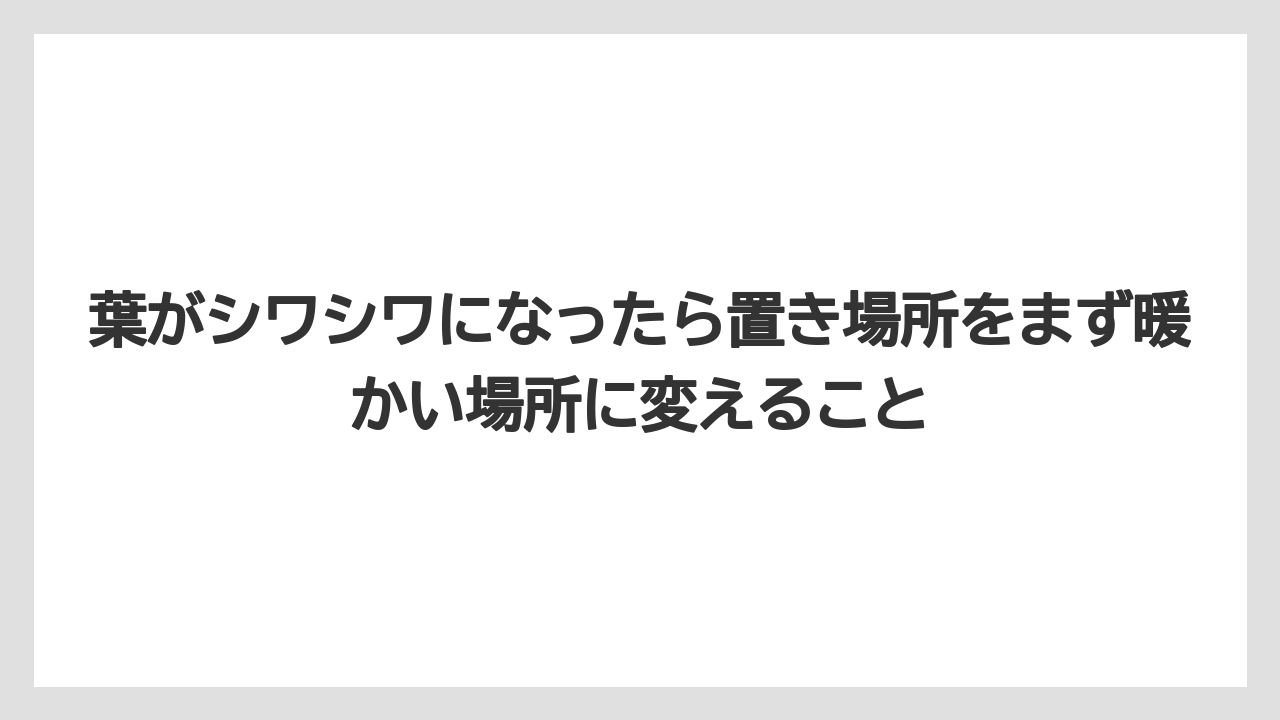 【栽培】【農園】【農業】葉がシワシワになったら置き場所をまず暖かい場所に変えること