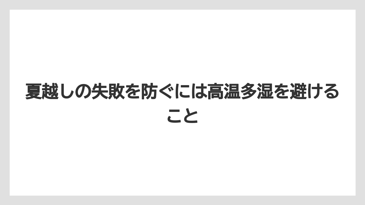 【栽培】【農園】【農業】夏越しの失敗を防ぐには高温多湿を避けること