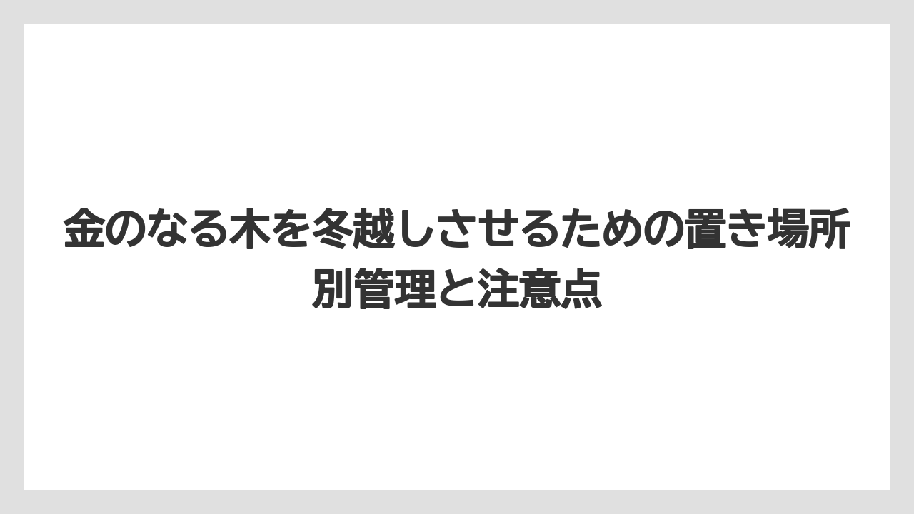 【栽培】【農園】【農業】耐寒温度は5℃が目安で大株になるほど寒さへの耐性が上がる