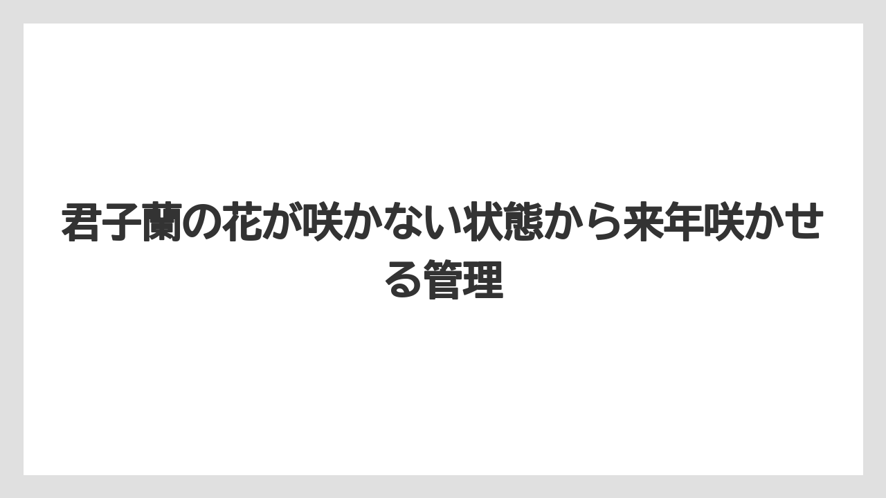 【栽培】【花】【農業】葉の枚数と株の体力が足りない株はまず養生を優先すること