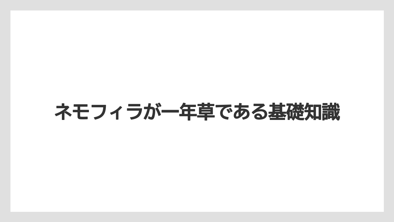 ネモフィラが一年草である基礎知識