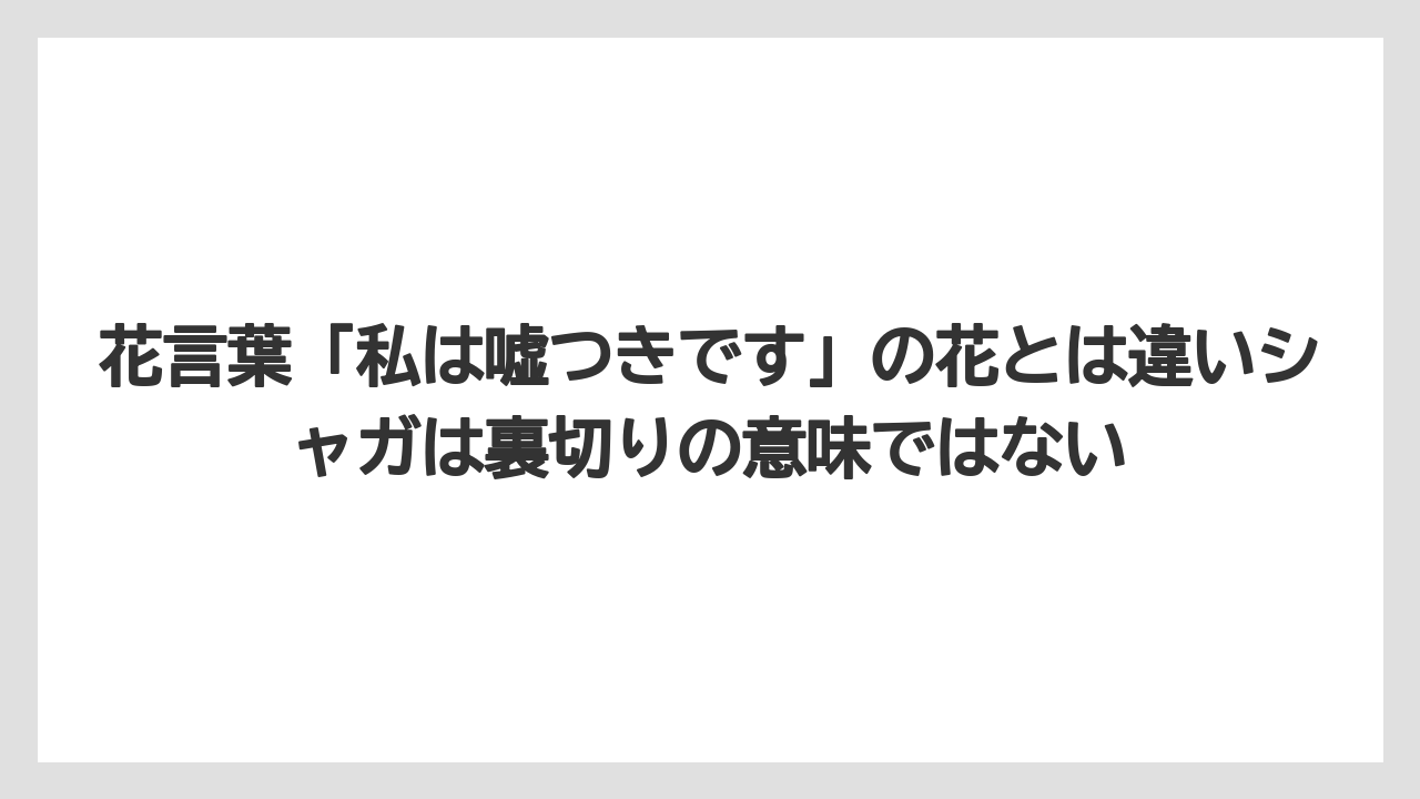 【栽培】【花】【葉】花言葉「私は嘘つきです」の花とは違いシャガは裏切りの意味ではない