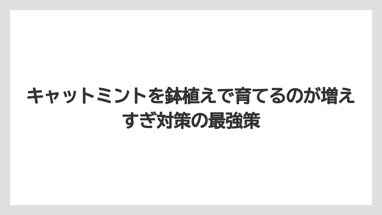 【ミント】【栽培】【猫】キャットミントを鉢植えで育てるのが増えすぎ対策の最強策