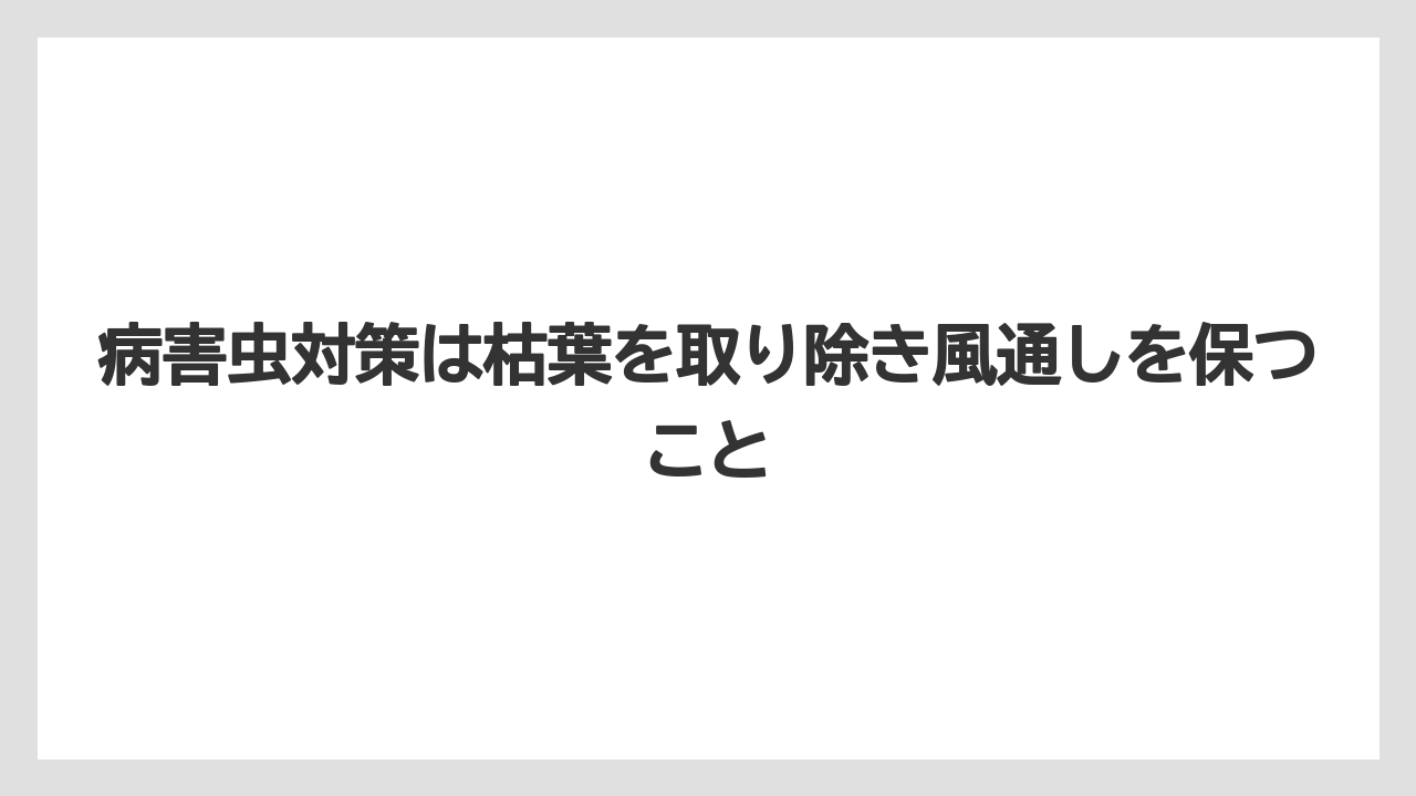 【栽培】【農園】【農業】病害虫対策は枯葉を取り除き風通しを保つこと