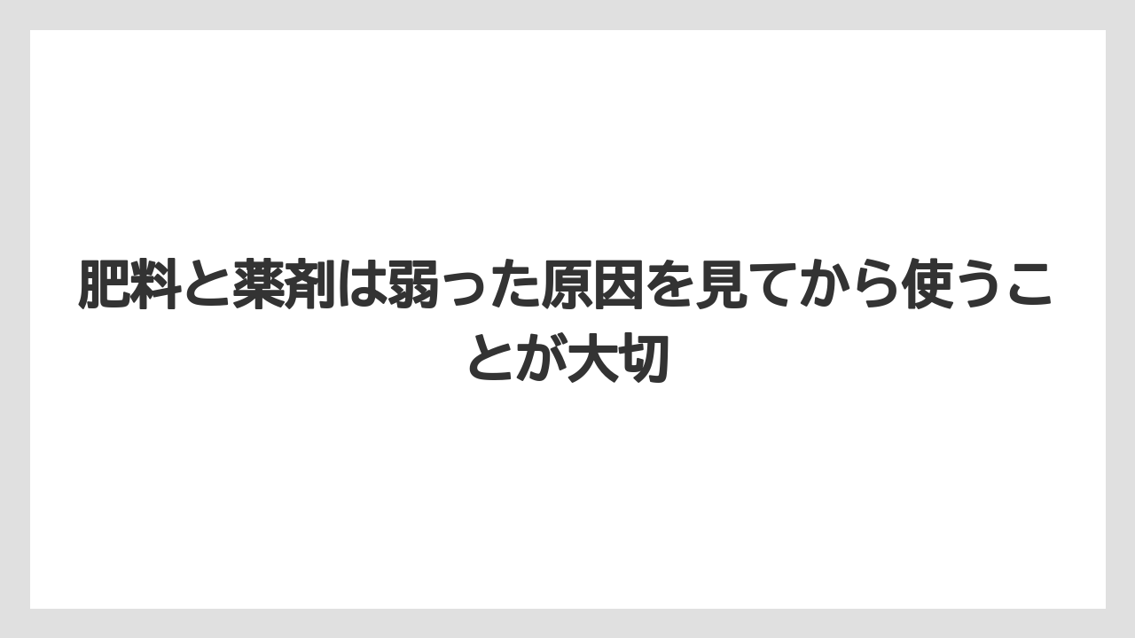 【サンスベリア】【栽培】【農業】肥料と薬剤は弱った原因を見てから使うことが大切
