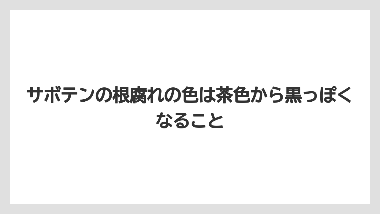 【サボテン】【危険】【枯れ】【栽培】サボテンの根腐れの色は茶色から黒っぽくなること